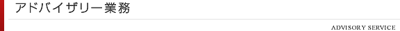 アドバイザリー業務
